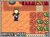 harvestmoon10