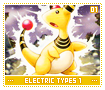 electrictypes101