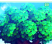 newleafsummer03