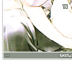 shinjiikari14
