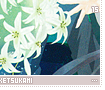 soushimiketsukami15