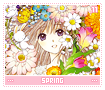 spring11